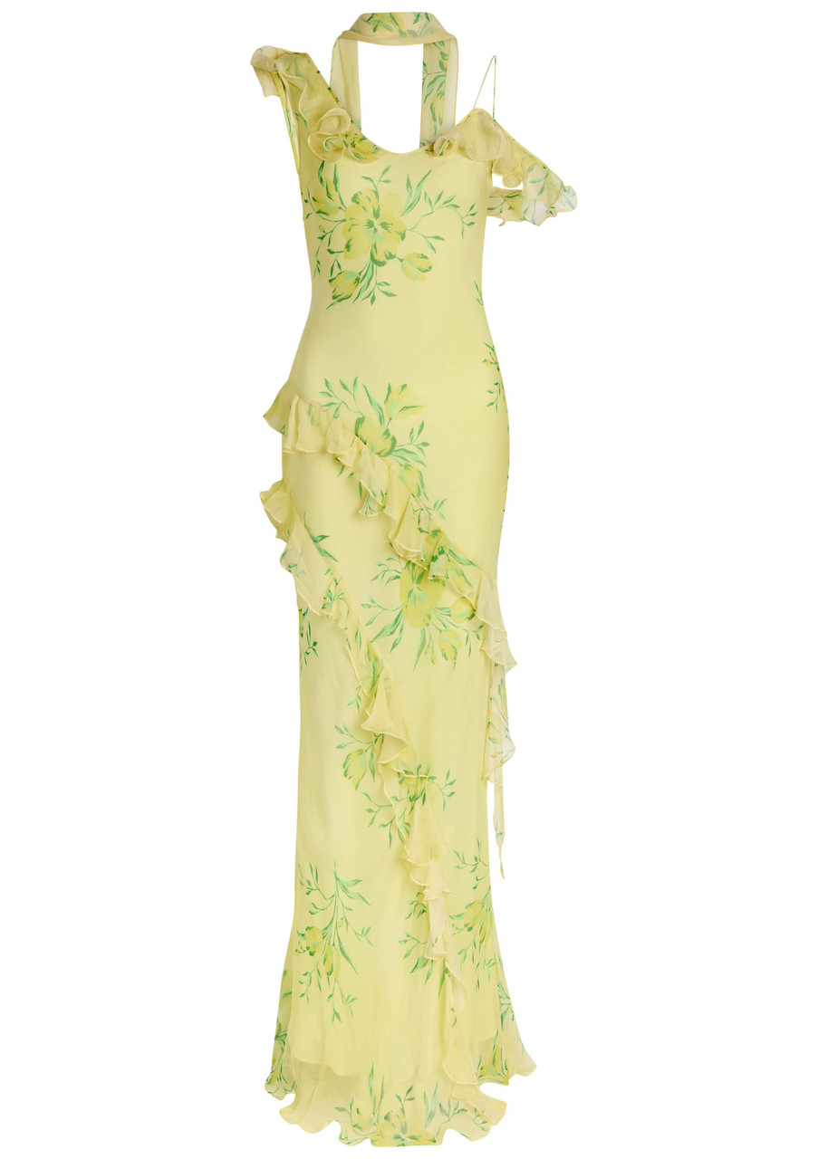 DE LA Vali Hemera Floral-print Silk-chiffon Maxi Dress - Yellow - S