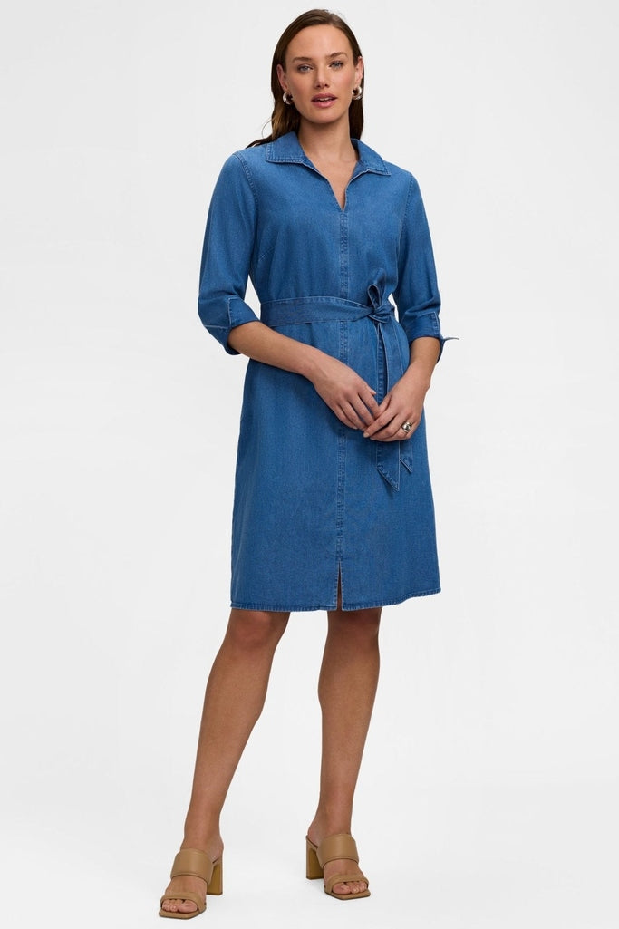 Agnes Tencel Denim Sleeve Dress