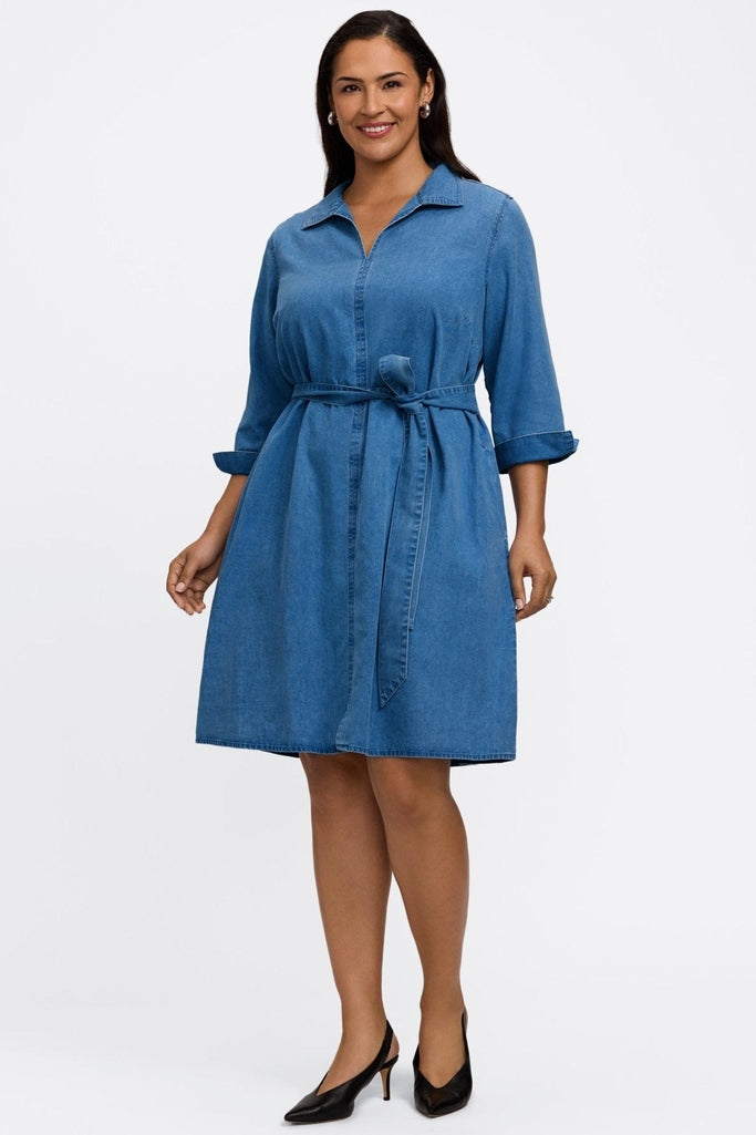 Agnes Plus Tencel Denim Sleeve Dress