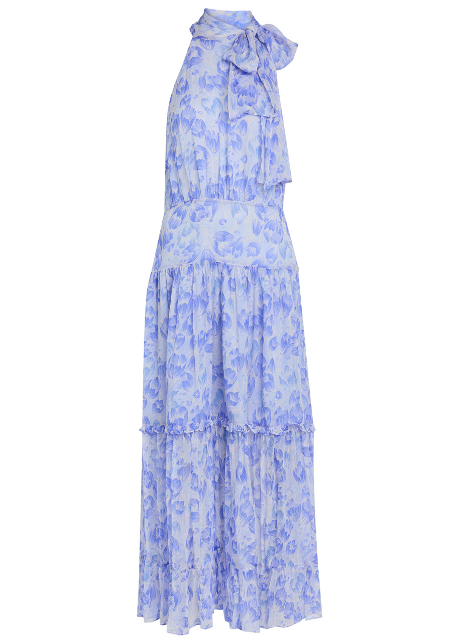 Rixo Abi Floral-print Chiffon Maxi Dress - Light Blue - S