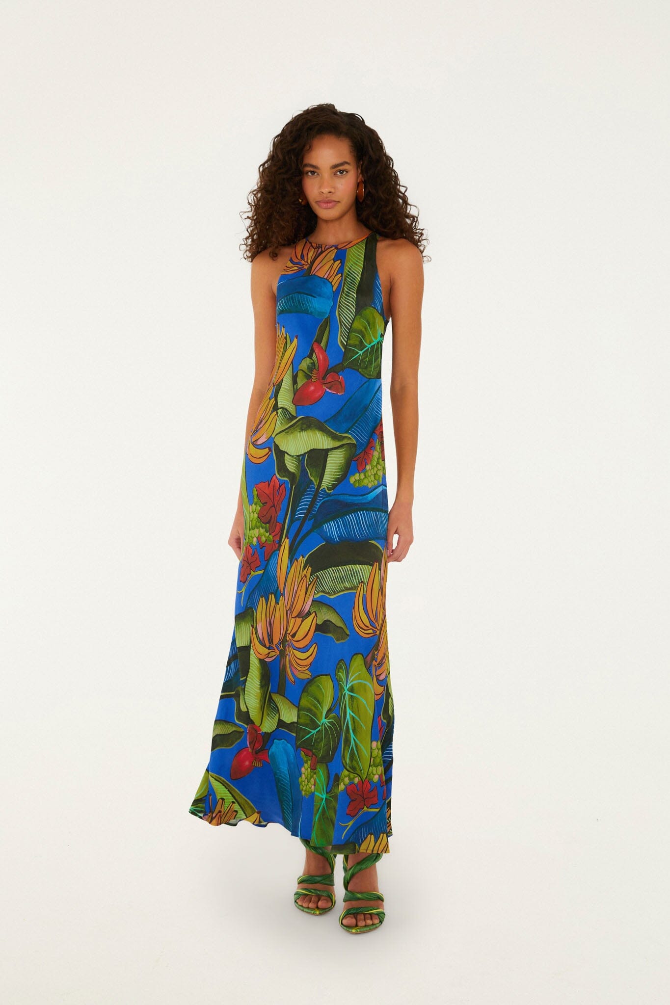 Blue Banana Grapes Sleeveless Maxi Dress, BANANA GRAPES BLUE