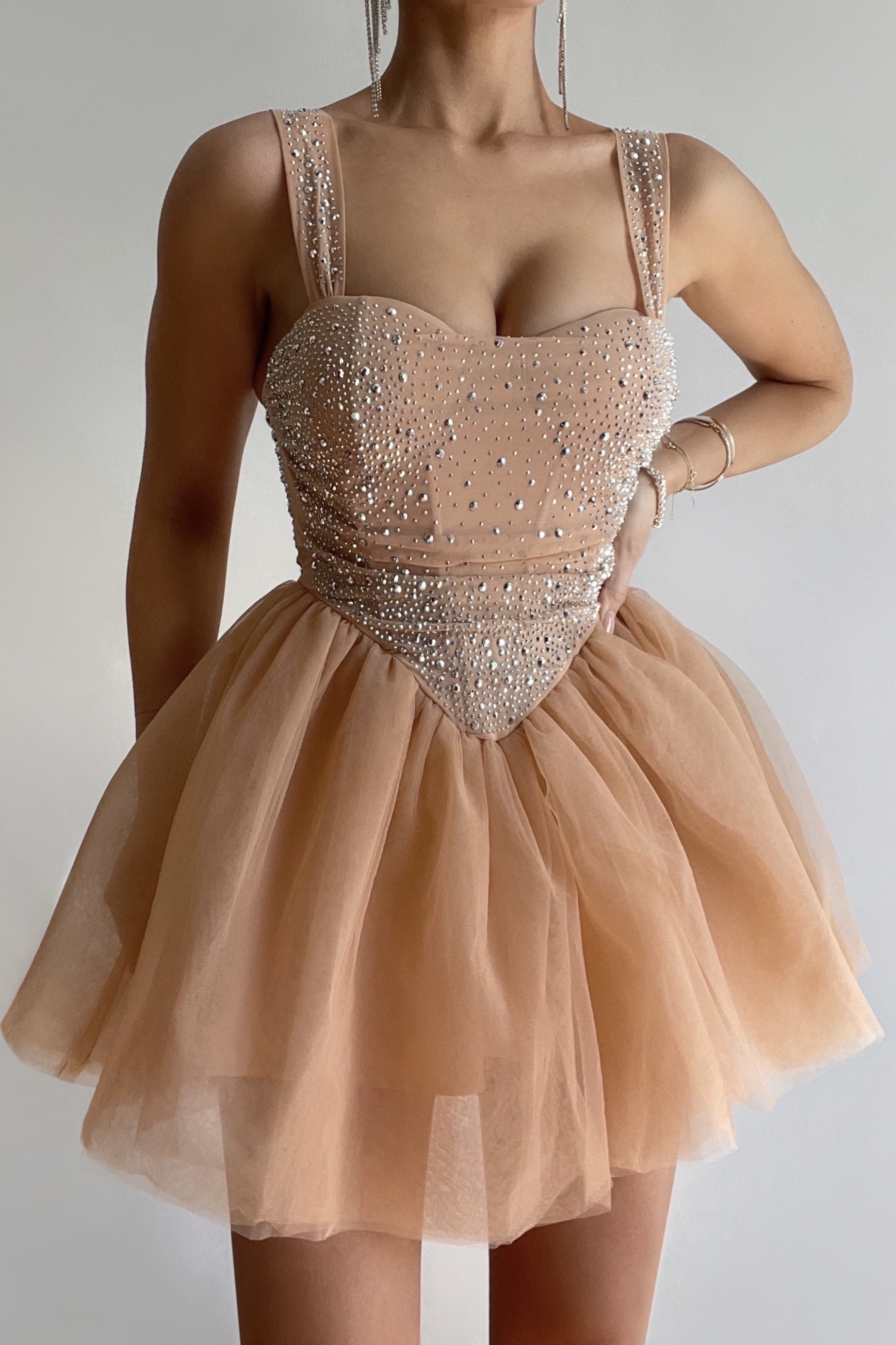 Lady Of The Palace Tulle Mini Dress Nude