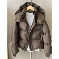 Women's Short Puffer Jacket With Hood, Thickened Quilted Coat, Oversized Winter Parka, Casual Streetwear, Lightweight Warm Outerwear